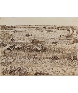 Vincent van Gogh, Die Ernte