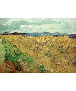 Vincent van Gogh, Feld, mit Kornblumen