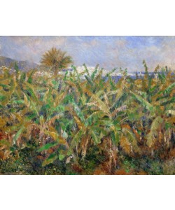 Pierre-Auguste Renoir, Champ de bananiers