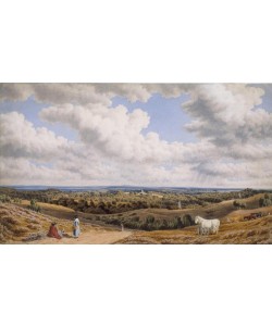 William Turner of Oxford, A Heathy Scene near Minstead in the New Forest looking Towa