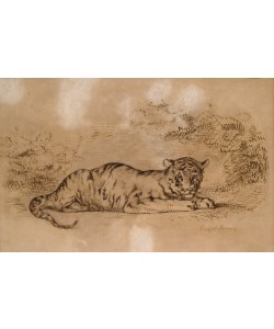 Eugene Delacroix, Tigre couché