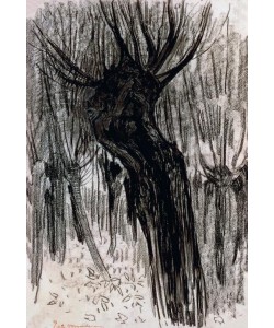 Piet Mondrian, Willows