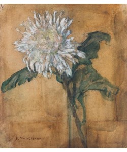 Piet Mondrian, Chrysanthemum