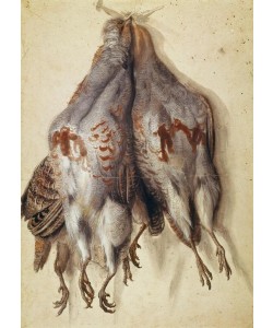 Lucas Cranach der Ältere, Bündel mit vier toten Rebhühnern