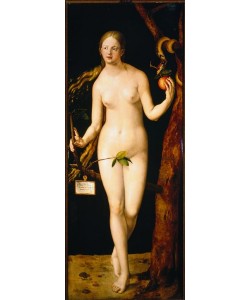 Albrecht Dürer, Eva