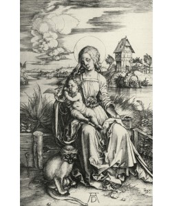 Albrecht Dürer, Maria mit der Meerkatze