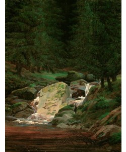 Caspar David Friedrich, Tannenwald mit Wasserfall