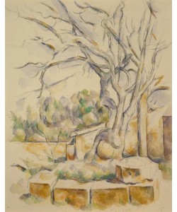 Paul Cézanne, Pistachier dans la Cour de Château Noir