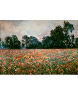 Claude Monet, Les Coquelicots à Giverny