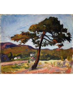 Albert Marquet, Pinie in St. Tropez