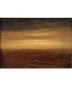 Caspar David Friedrich, Die Netze