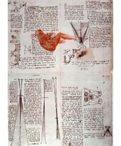 Leonardo da Vinci, Notizen zur Physiologie des Sehens...