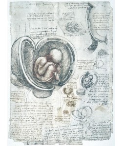 Leonardo da Vinci, Anatomiestudien