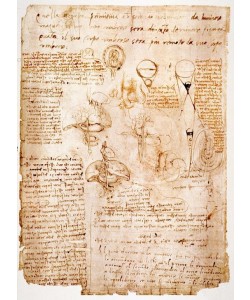 Leonardo da Vinci, Anatomiestudien: Organe des Bauches...