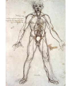 Leonardo da Vinci, Baum der Gefäße