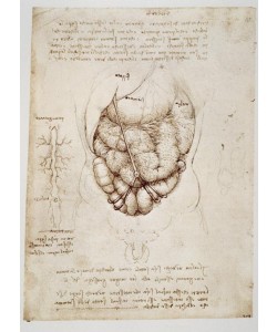 Leonardo da Vinci, Anatomiestudien