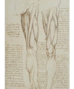 Leonardo da Vinci, Anatomiestudien