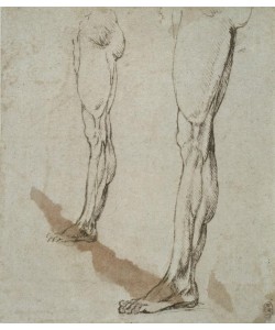 Leonardo da Vinci, Anatomiestudien