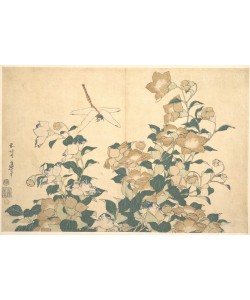 Katsushika Hokusai, Dragonfly and Bellflower