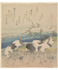 Katsushika Hokusai, Ashi Clam, from the series "Genroku Kasen Kai-awase"