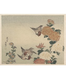 Katsushika Hokusai, Sparrows and Chrysanthemums