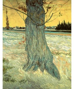 Vincent van Gogh, Der Baum