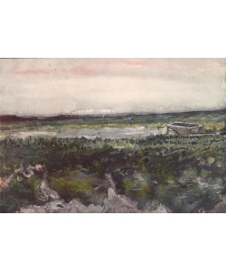 Vincent van Gogh, Heide mit Schubkarren