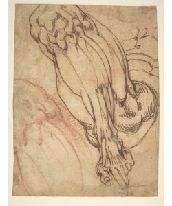 MICHELANGELO BUONARROTI, Anatomical Studies of a Leg (recto)