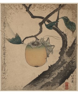 Katsushika Hokusai, Grasshopper eating persimmon