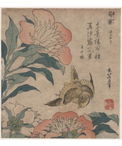 Katsushika Hokusai, Peony and canary