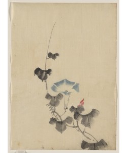 Katsushika Hokusai, Blue blossom of morning glory on vine