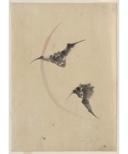 Katsushika Hokusai, Two bats flying