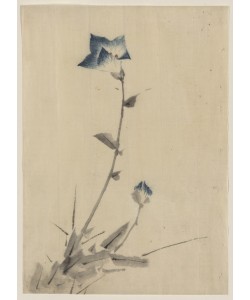 Katsushika Hokusai, Blue flower blossom