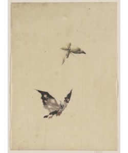 Katsushika Hokusai, Butterfly and moth