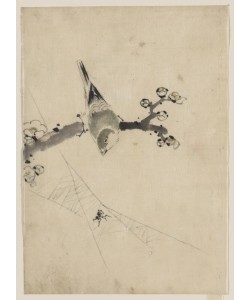 Katsushika Hokusai, Bird on an branch