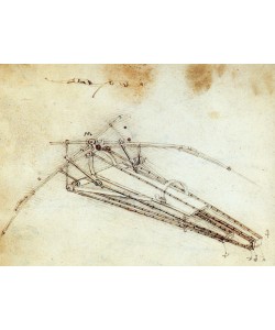 Leonardo da Vinci, Flugmaschine