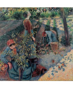 Camille Pissaro, Apple Picking, 1886