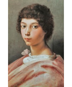 Raffael, Bildnis eines jungen Mannes