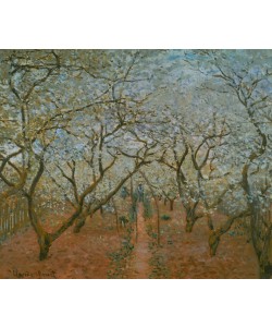 Claude Monet, Verger en fleurs, Vétheuil