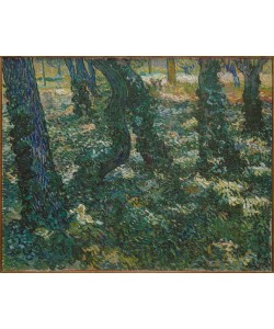 Vincent van Gogh, Efeu