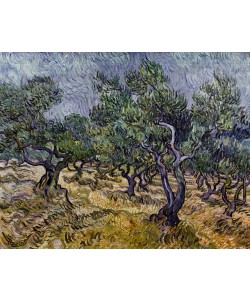 Vincent van Gogh, Olivenhain