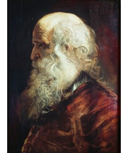 Peter Paul Rubens, Studienkopf eines Greises