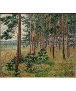 Lucien Pissarro, Pinienwald