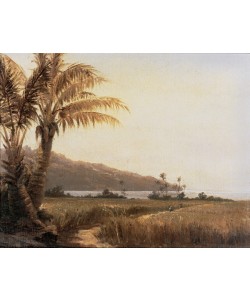 Camille Pissarro, Coconut palms by the sea