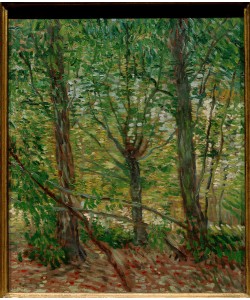 Vincent van Gogh, Bäume und Unterholz