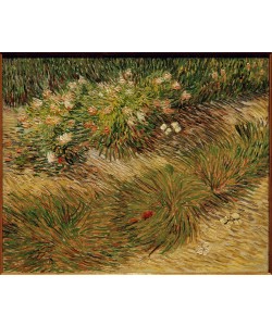 Vincent van Gogh, Gartenecke mit Blumen und Schmetterlingen