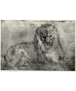 Albrecht Dürer, Liegender Löwe