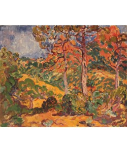 Louis Valtat, Unbekannt