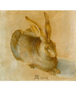 Albrecht Dürer, Junger Feldhase