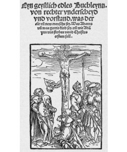 Lucas Cranach der Ältere, Eyn geystlich edles Buchleynn. von rechter vnderscheyd vnd vorstand. was der alt vn new mensch sey. /…/.